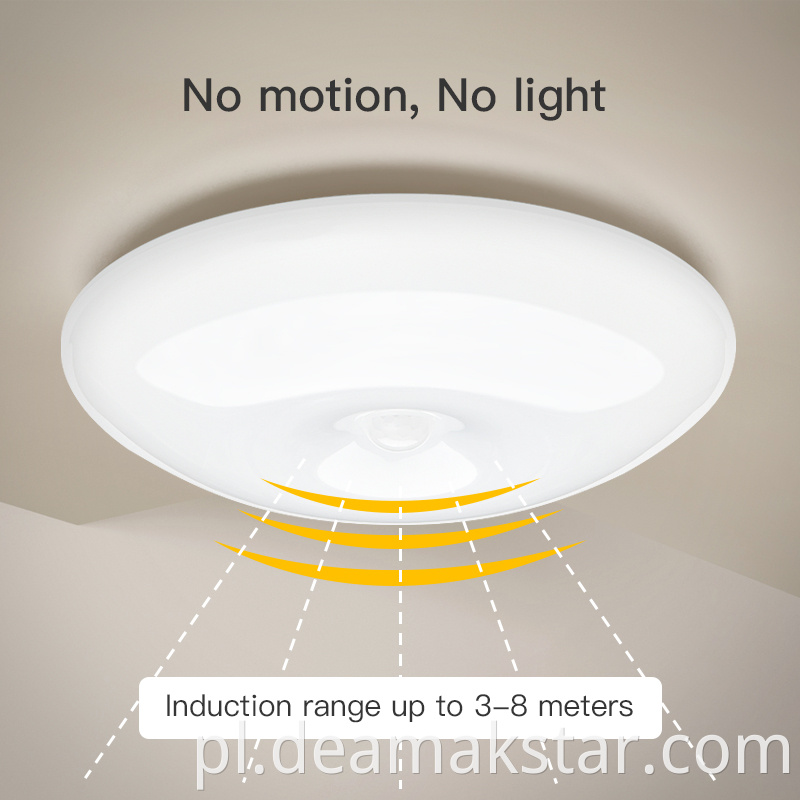 Ceiling Sensor Light